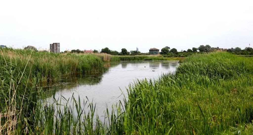 Reino Unido declaró la escasez de agua en&nbsp;Inglaterra