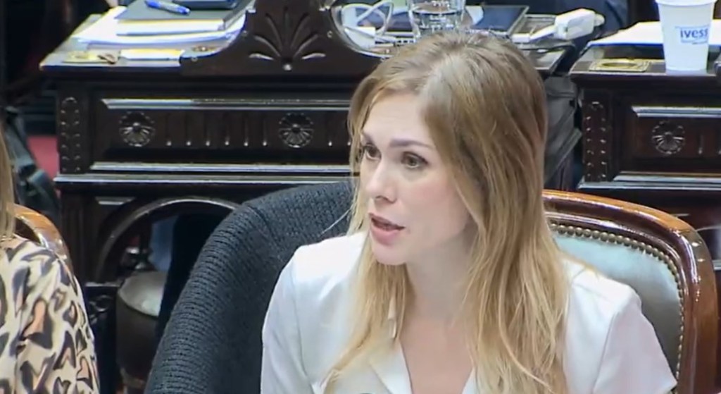 La diputada Lilia Lemoine agradeció a la policía por frenar un ataque contra su&nbsp;domicilio