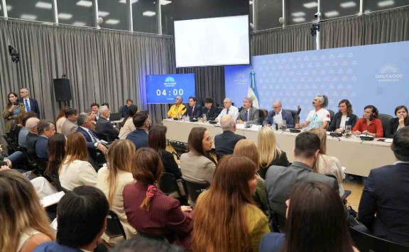 Tras un arranque tenso, sigue el debate por la Ley de Glaciares en&nbsp;Diputados