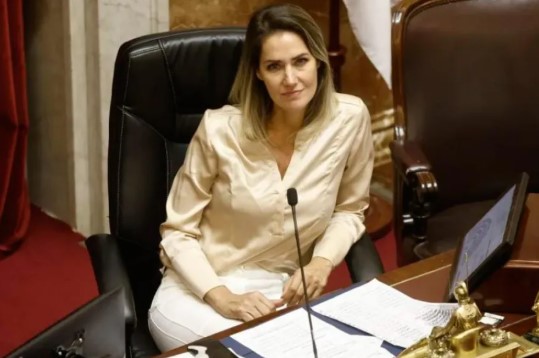 Denunciaron a Carolina Losada por un proyecto sobre falsas&nbsp;denuncias