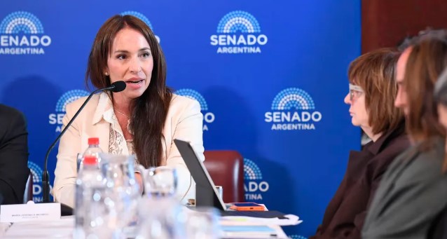 El Gobierno frenó un pliego judicial en el Senado 